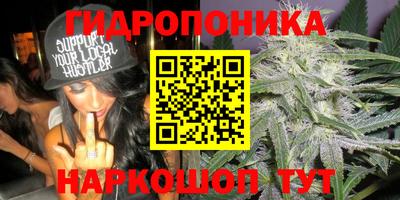 шишки Рузаевка