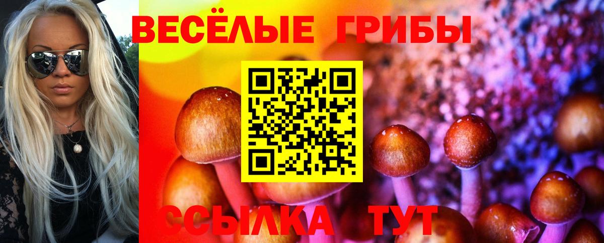 Галлюциногенные грибы мухоморы  Галлюциногенные грибы MAGIC MUSHROOMS  Ревда  Вход с VPN 